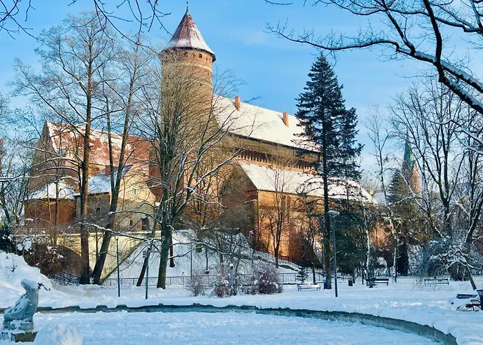 Апартаменты Manufaktura Ольштын